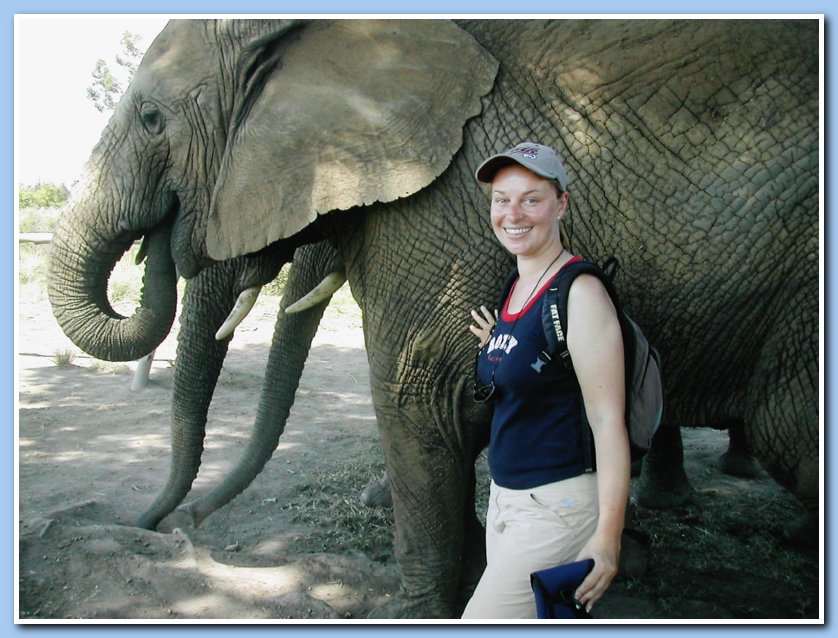 Elephant park
